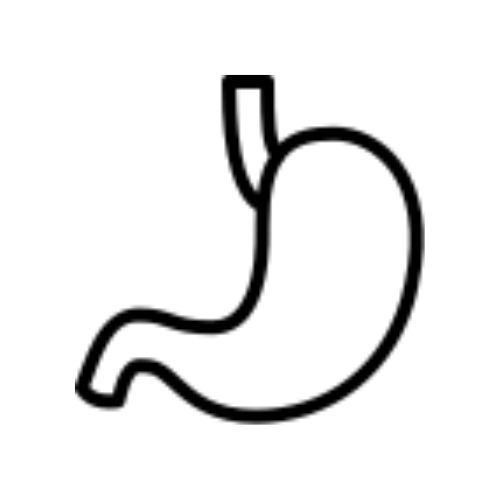 Stomach icon